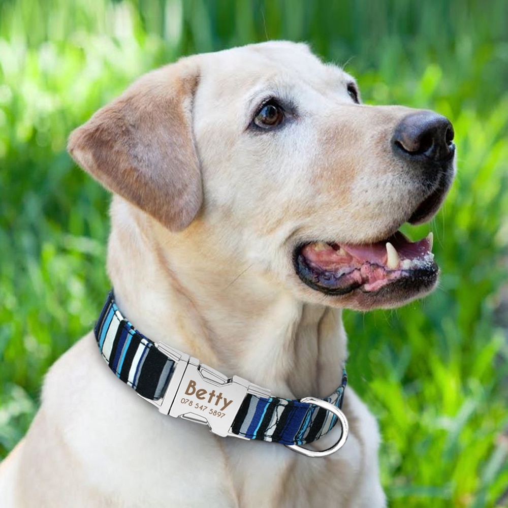 Dog Personalized Nylon Collar